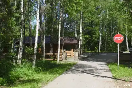 Глухариный Дом - 25