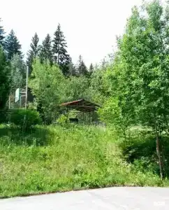 Путешественник - 43