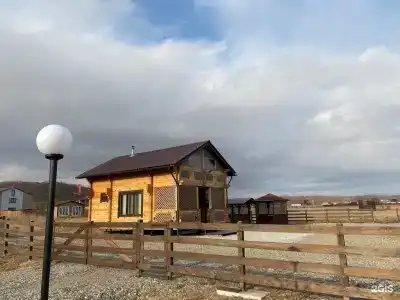 Красный кот - 80