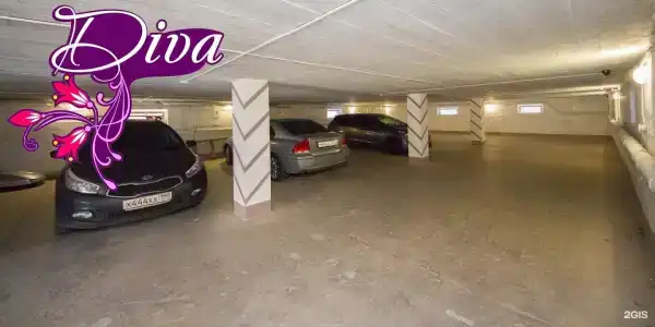 Дива - 31