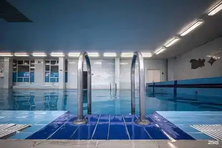 Звездный - 1
