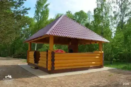 Лесное Озеро - 38