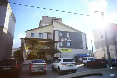 Сова - 91