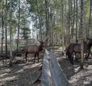 Халамеево - 17