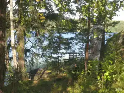 Янисъярви - 84