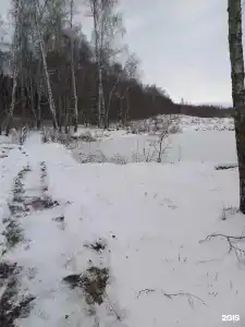 Модная коза - 55