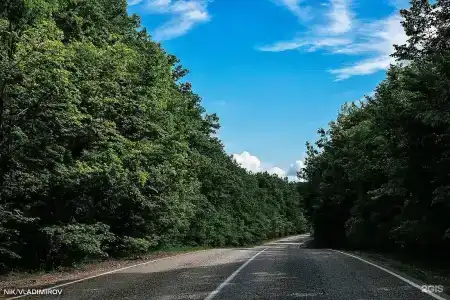 Кура-Цеце - 20