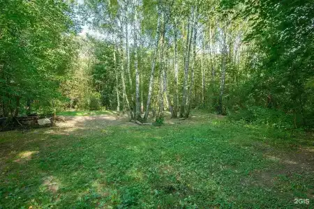 Зеленый Городок - 64