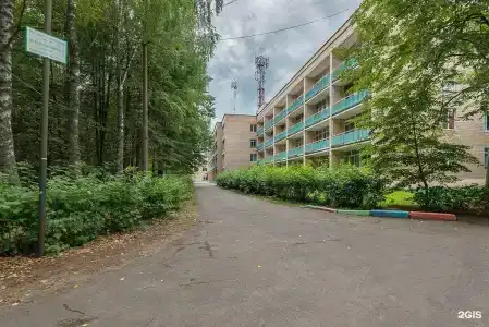 Зеленый Городок - 94