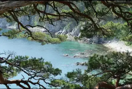 Красный кот - 19