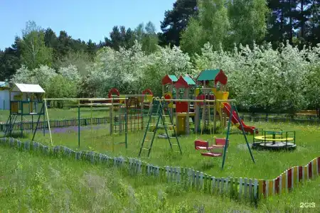 Сосновый бор - 5