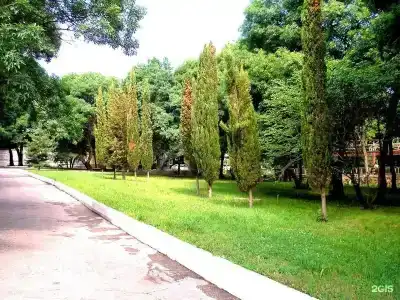 Глория - 29