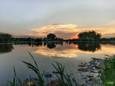 Покровский - 15