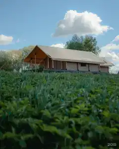 Ларди - 52