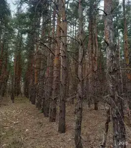 Крылатый - 89