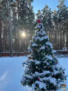 Вилла Богема - 25