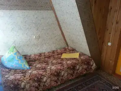 Сосновый бор - 16