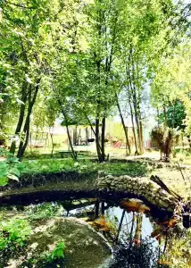 Луговое - 38