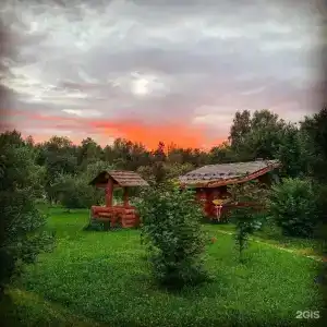 Дубки - 19