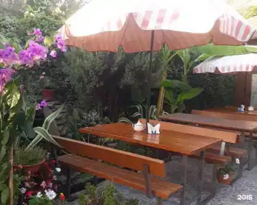 Пальмира - 11