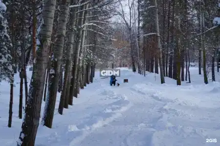 Репино - 89