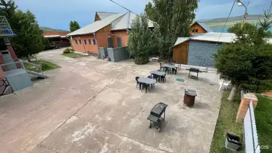 Оазис - 46