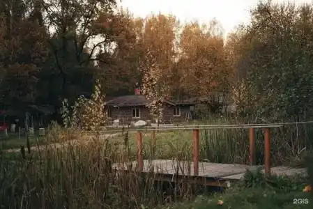 Дубки - 114
