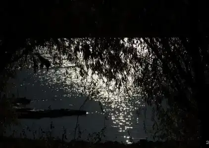 Зюйд-вест - 99
