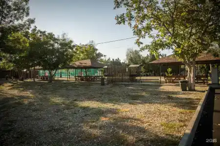 Турист - 45