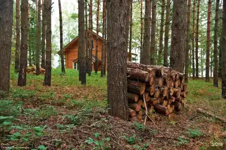 Борвиха - 40