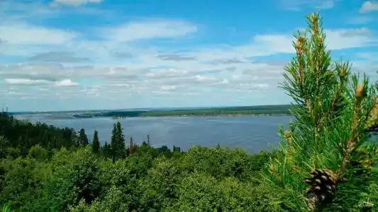 Радуга - 60