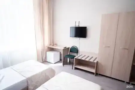 Снегири - 6