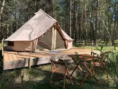 Дзен - 59
