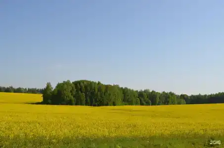 Курортный отель Вилла Плёс - 22