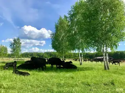 Гастроранчо Хэппи Фарм  - 31