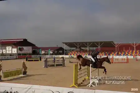 Загородный отель Konakoff в Сажино - 91