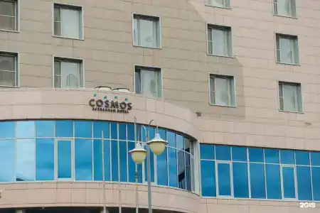 Cosmos - 27