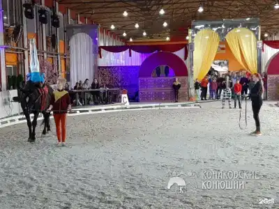 Загородный отель Konakoff в Сажино - 137