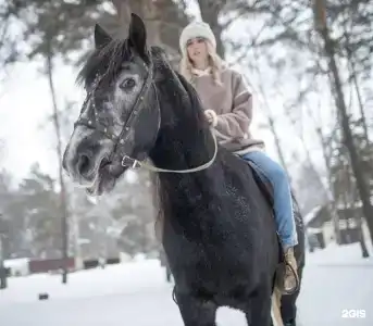 Царские Палаты - 49