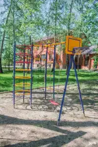 Золотая рыбка - 109