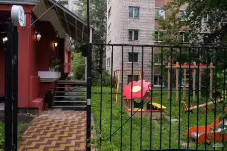 Шишки - 55