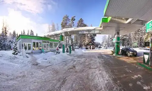 Медведь - 24