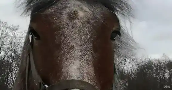 Красивая Усадьба - 87