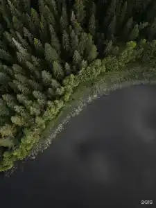 Шелест - 18