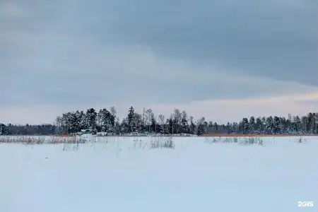 Плотвичкина заводь - 62