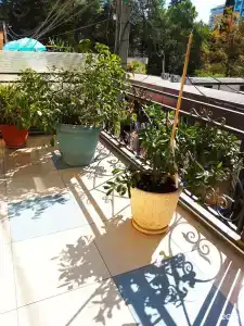 Грант Курорт - 0