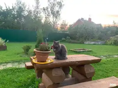 Домик на Березовой 6 - 5