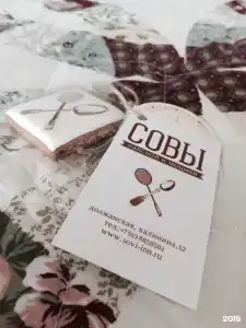 Совы - 64
