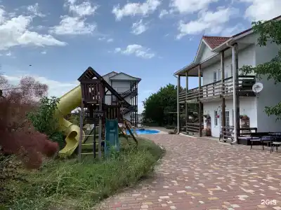 Совы - 16