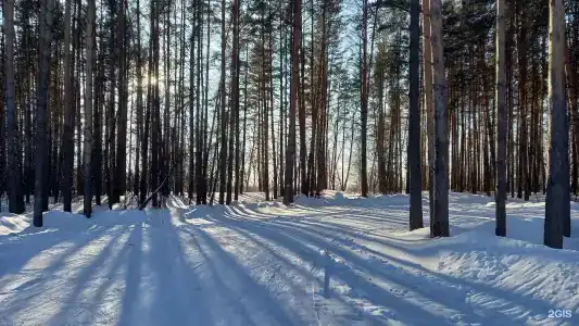 Буревестник - 57